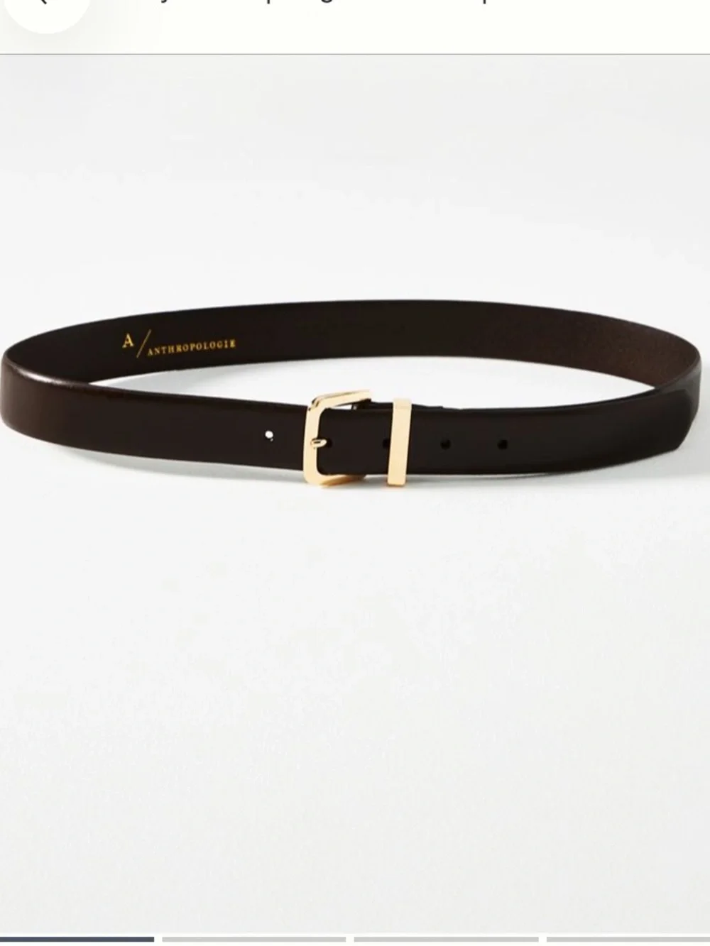 Anthropologie basic loop belt in Brown NWT